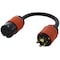 Ac Works Adapter Cord, SOOW, L15-20R, L15-30P, 1.5 ft., Black L1530L1520-018 - alternate 1